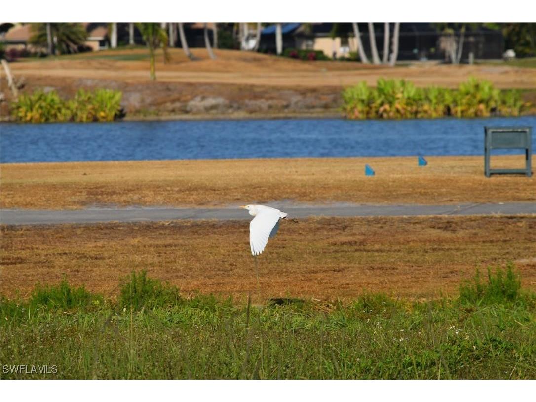 18001 Bluewater Drive Naples FL 34114 225082590 image19