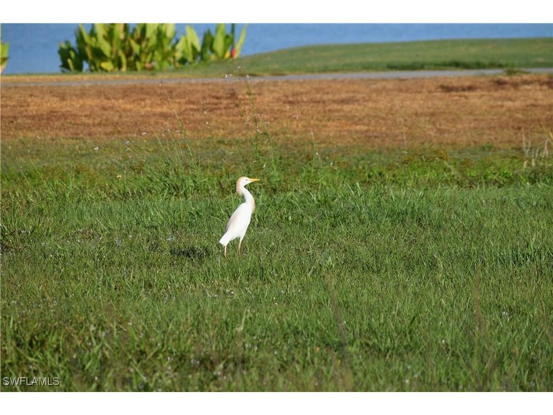 18001 Bluewater Drive Naples FL 34114 225082590 image20