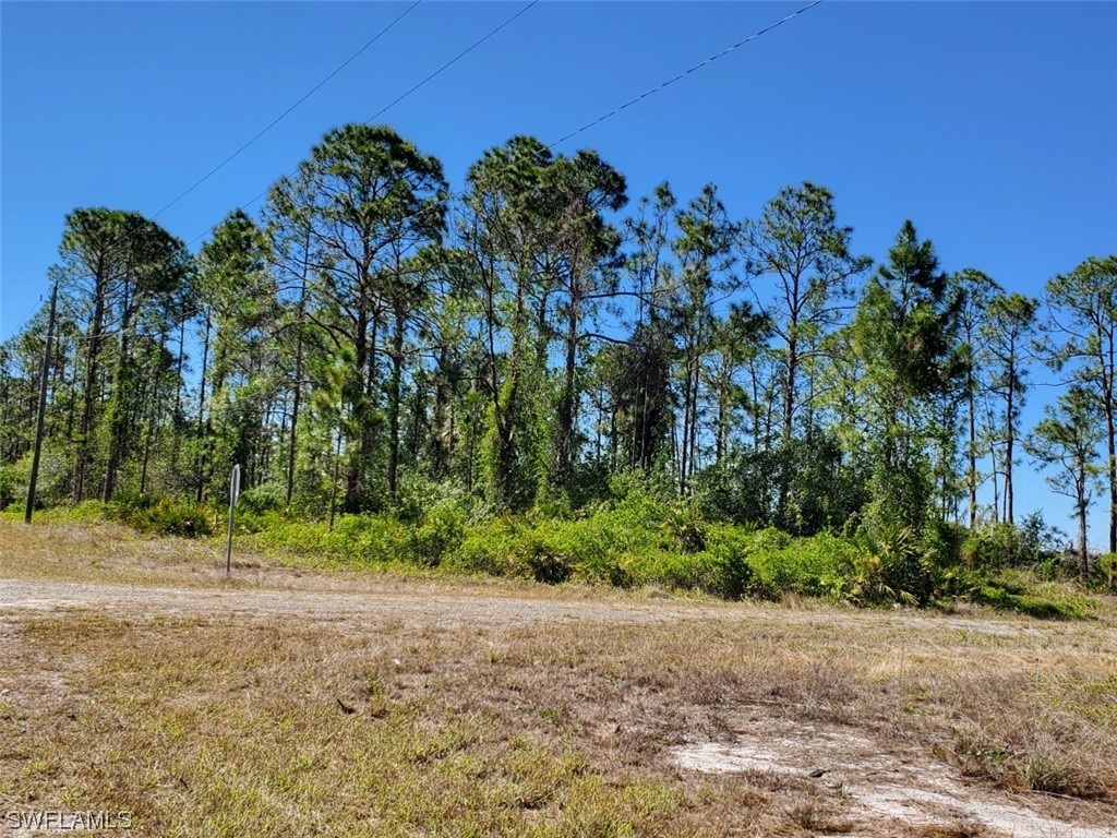 1801 Edison Avenue Lehigh Acres FL 33972 223021626 image1