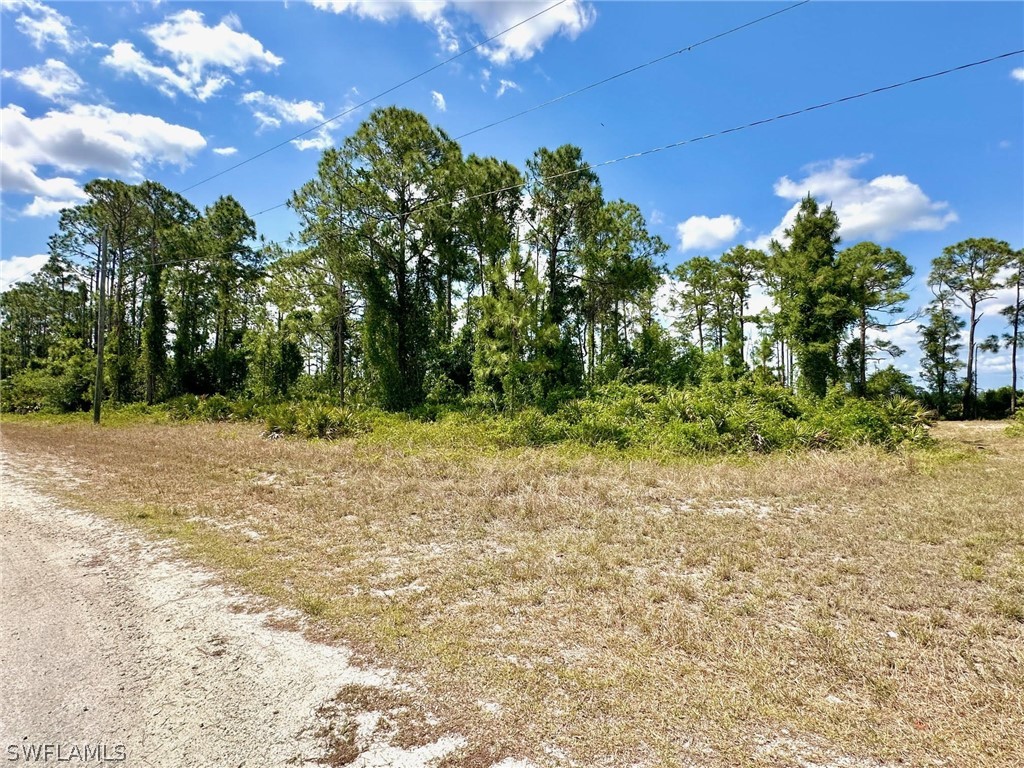 1801 Edison Avenue Lehigh Acres FL 33972 224036273 image1