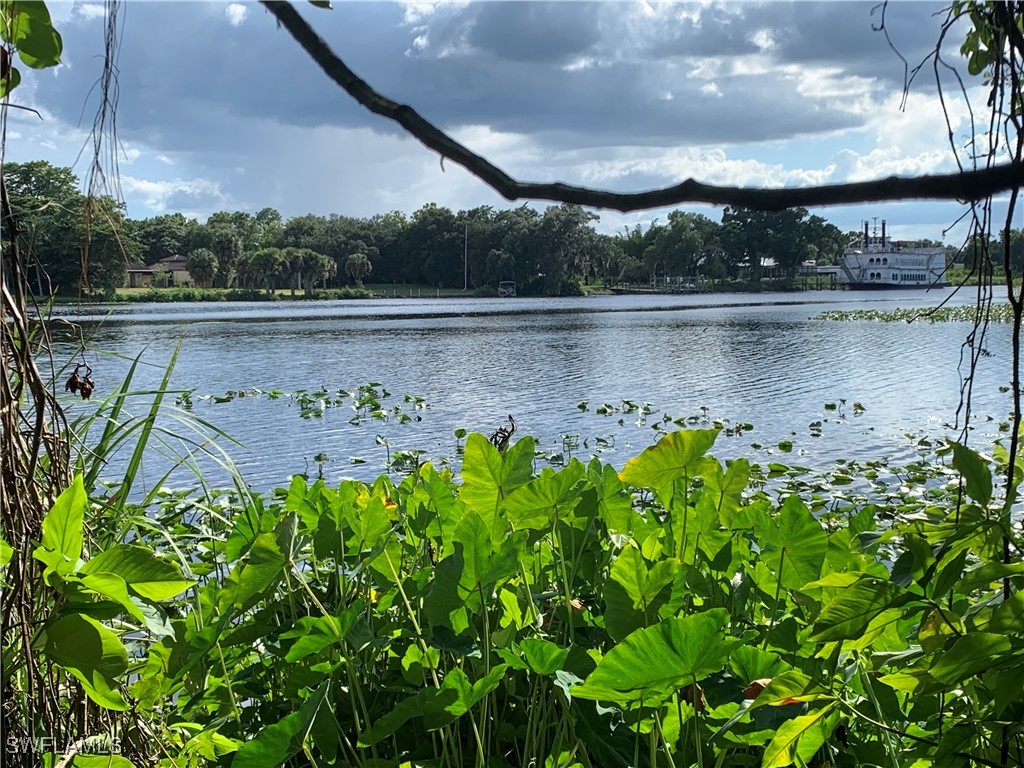 18011 Riverchase Court Alva FL 33920 226004629 image6