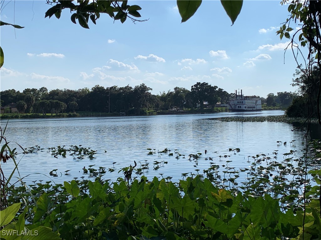 18011 Riverchase Court Alva FL 33920 226004629 image7