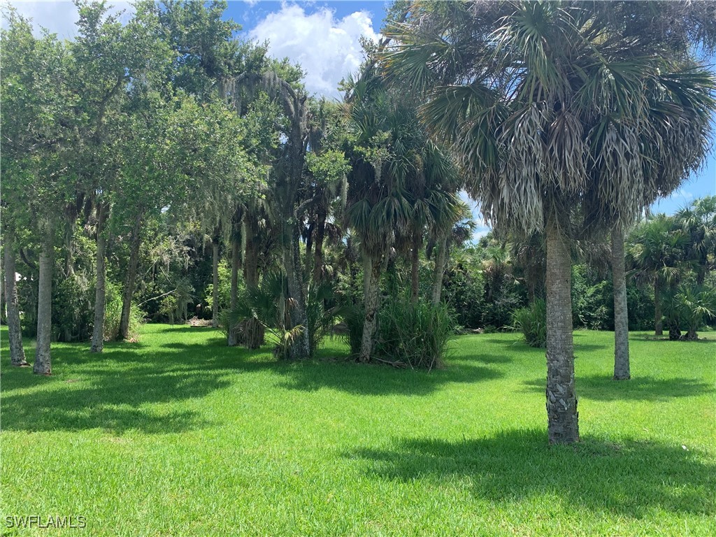 18011 Riverchase Court Alva FL 33920 226004629 image9