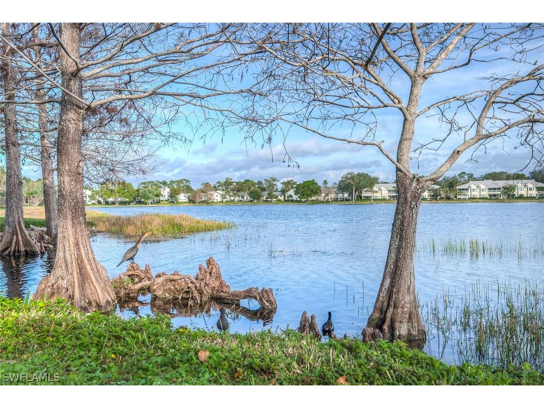1802 Kings Lake Boulevard #2-101 Naples FL 34112 226010523 image29