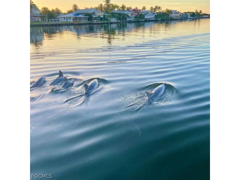 18038 San Carlos Boulevard #115 Fort Myers Beach FL 33931 2026005799 image39