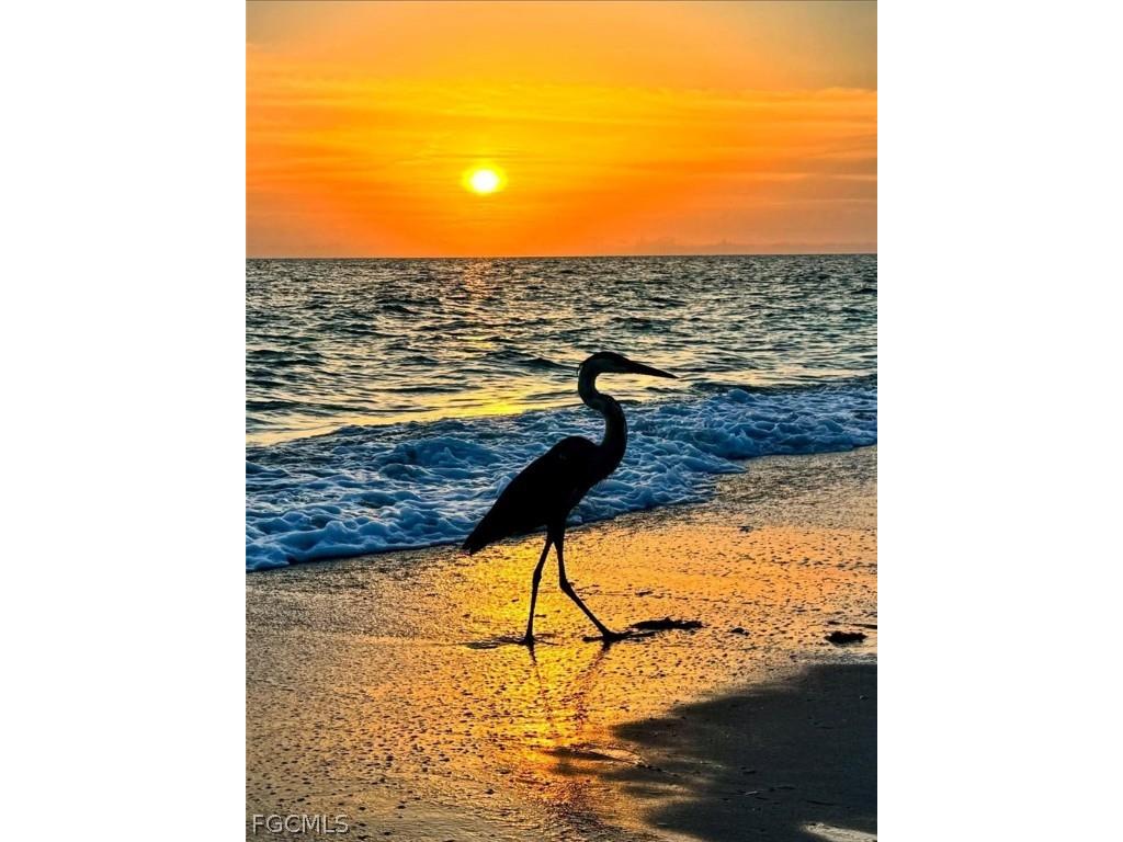 18038 San Carlos Boulevard #115 Fort Myers Beach FL 33931 2026005799 image42