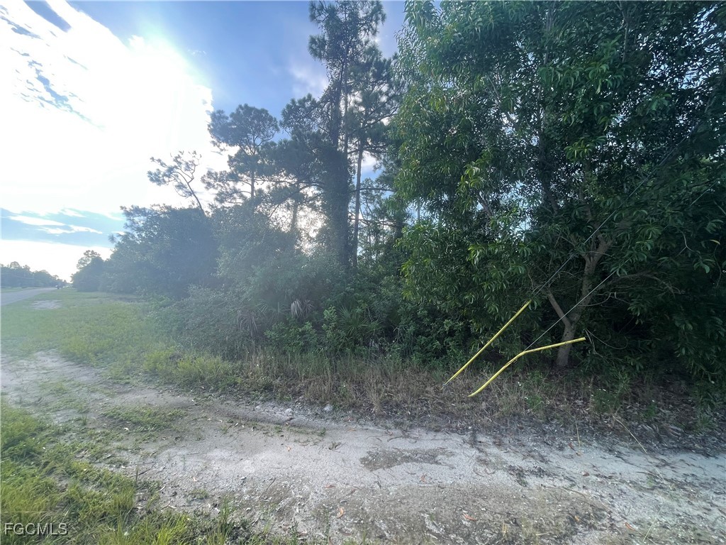 1804 Dewitt Avenue N Lehigh Acres FL 33971 2025009402 image2