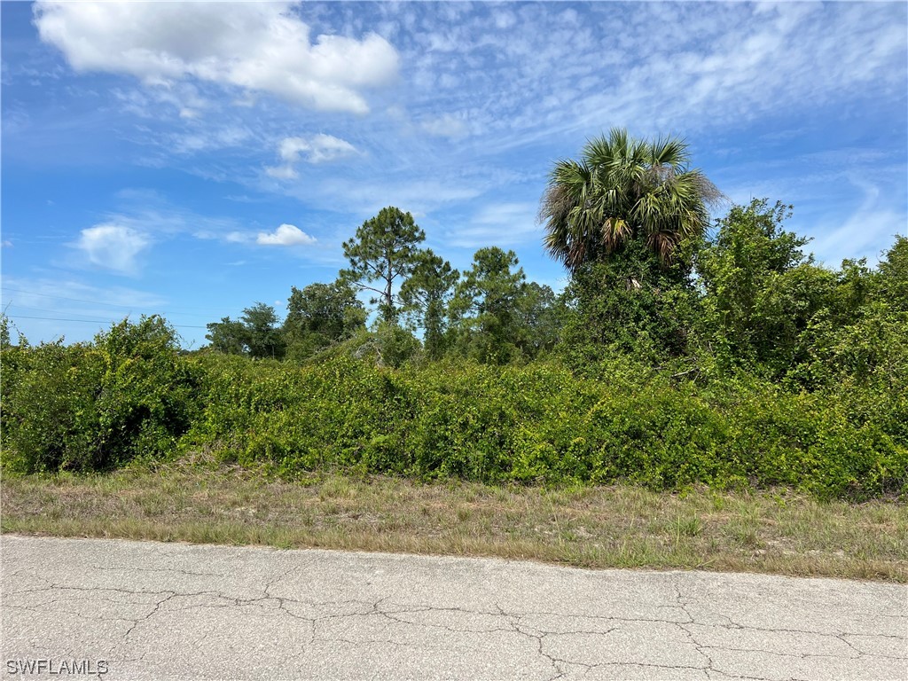 1805 Abbott Avenue Lehigh Acres FL 33972 223030179 image1