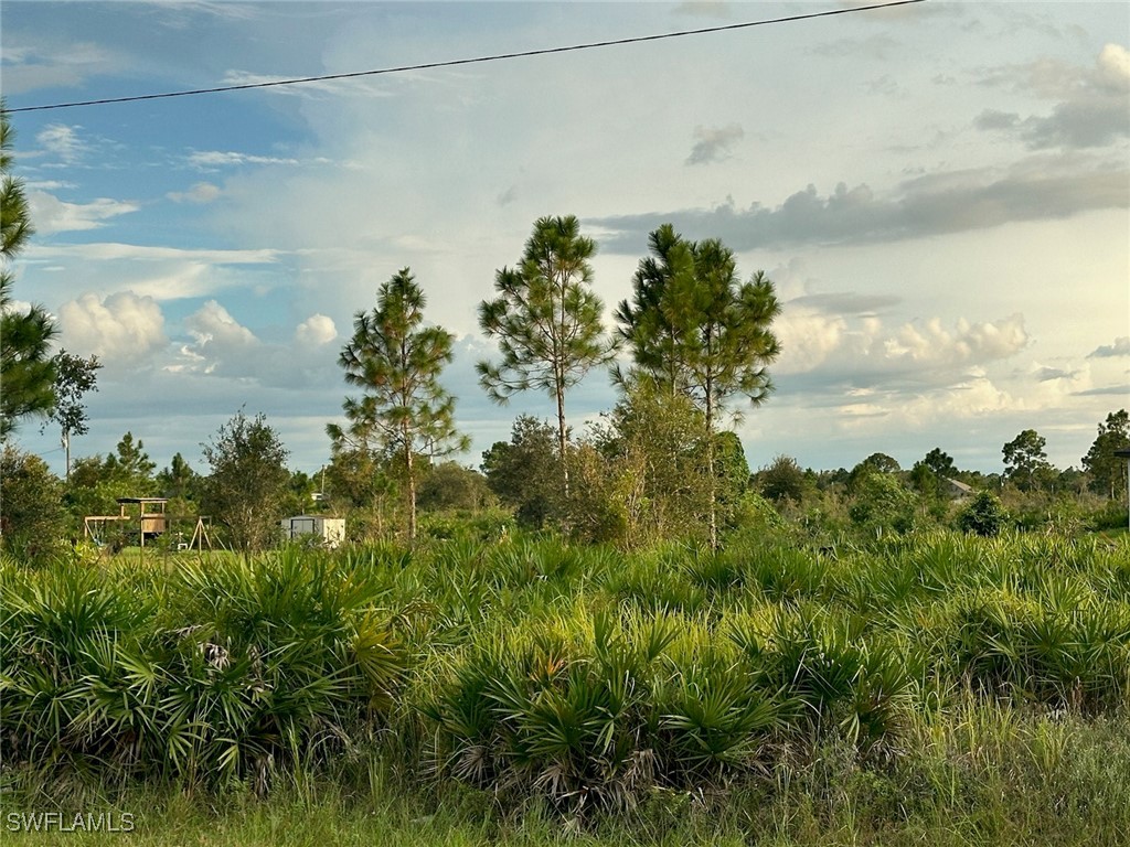 1805 W 14th Street Lehigh Acres FL 33972 224080374 image1
