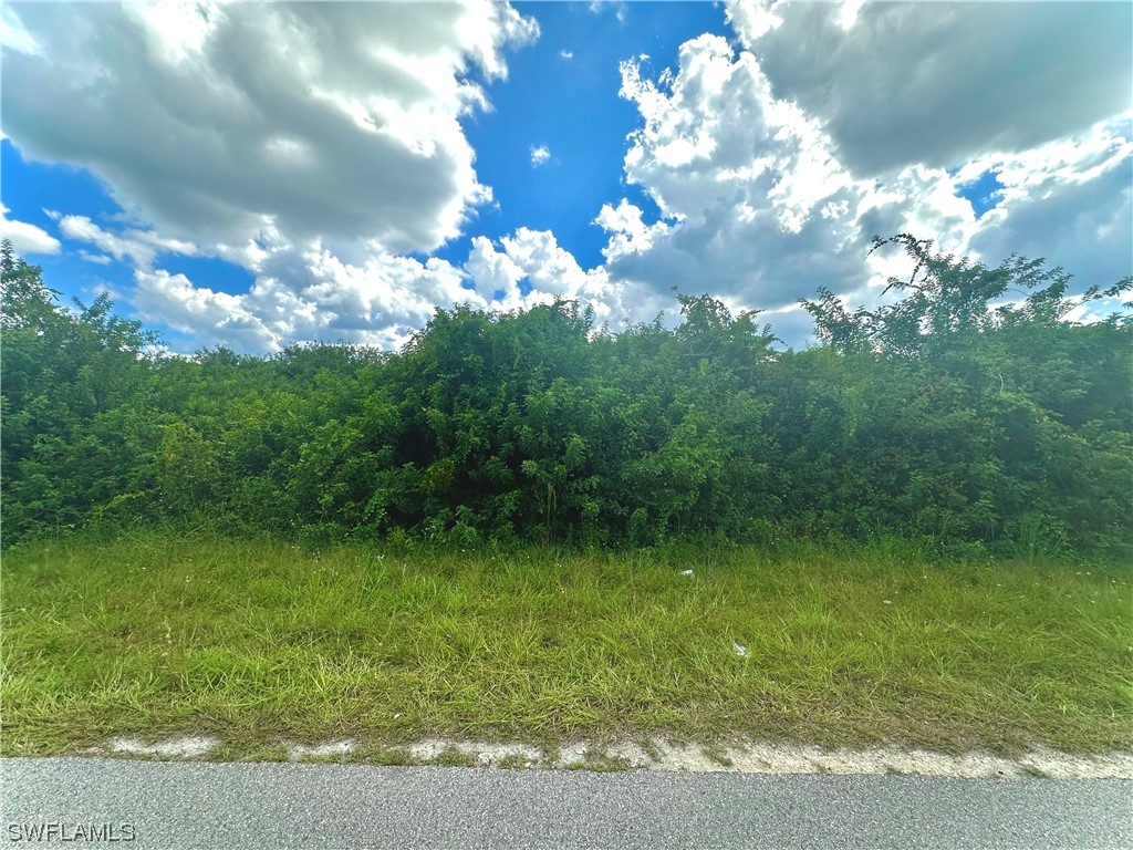 1806 Mayberry Drive Lehigh Acres FL 33972 223065876 image1