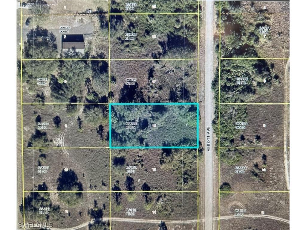 1807 Abbott Avenue Lehigh Acres FL 33972 224020083 image1