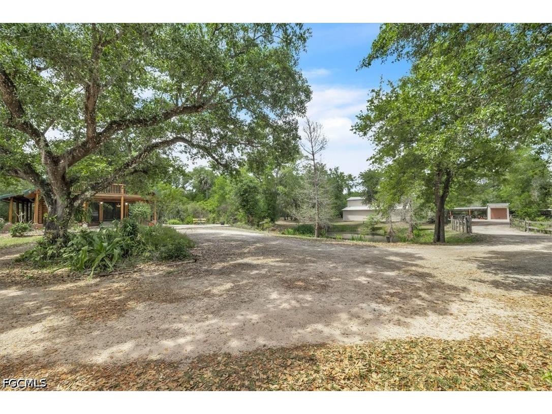 1807 NW Owens Avenue Arcadia FL 34266 2026016786 image47