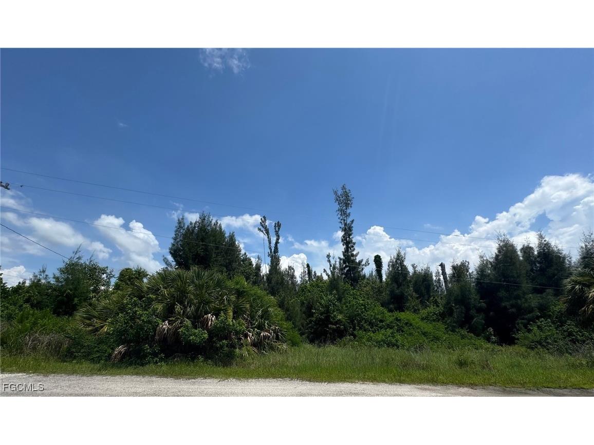 1807 Wade Drive Cape Coral FL 33991 2025000126 image2