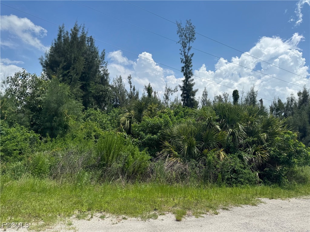 1807 Wade Drive Cape Coral FL 33991 2025000126 image3