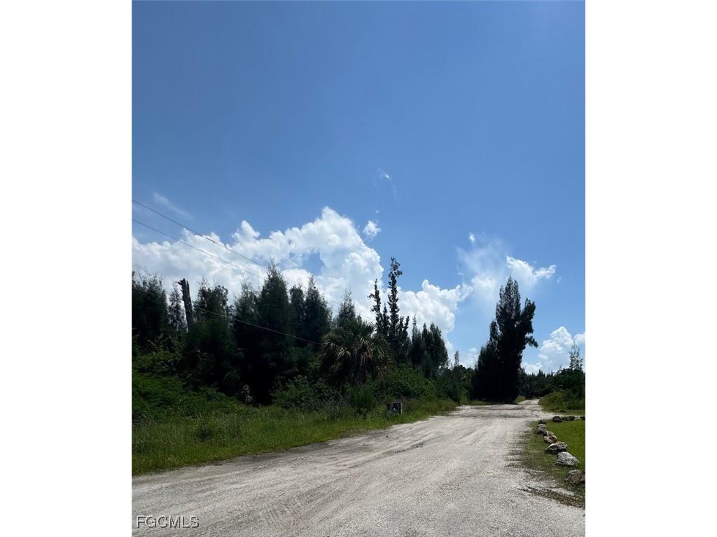 1807 Wade Drive Cape Coral FL 33991 2025000126 image6