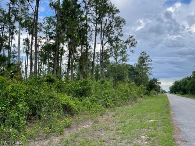 1808 Robert Avenue Lehigh Acres FL 33972 223038778 image1