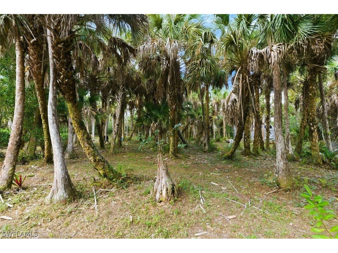 181 35th Avenue NE Naples FL 34120 226010802 image35