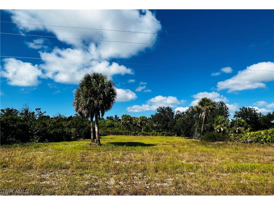 181 Brig Circle W Placida FL 33946 223081682 image1