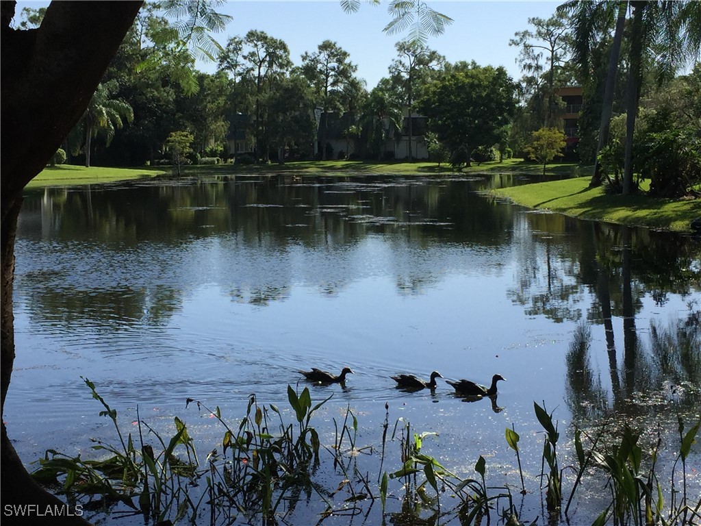 1810 Bald Eagle Drive #A Naples FL 34105 225080102 image50