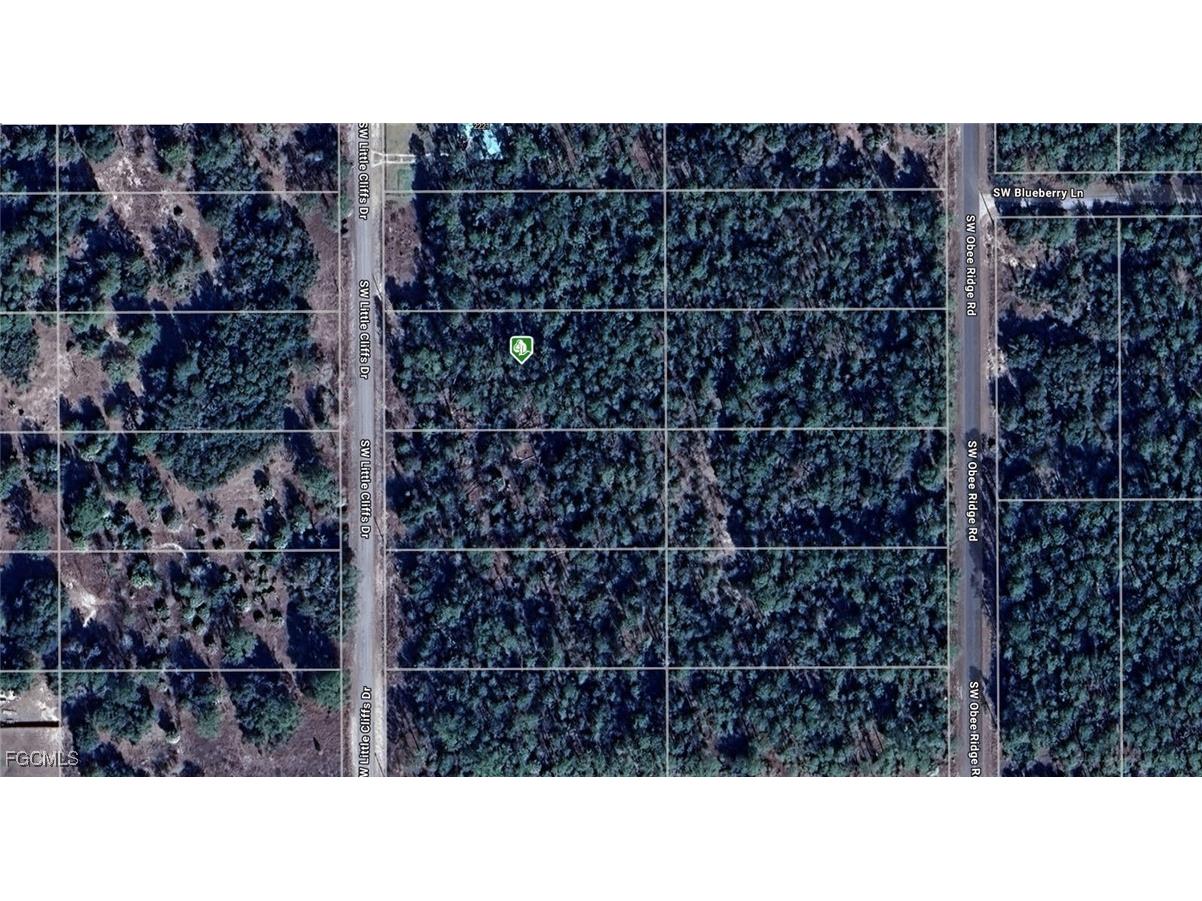 1811-016-025 SW Little Cliffs Drive Dunnellon FL 34431 2025004089 image1