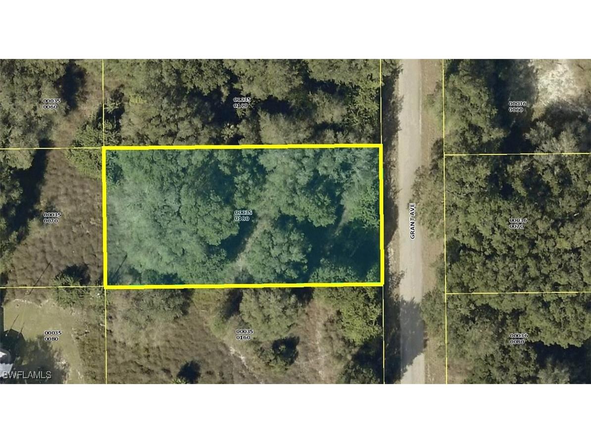 1811 Grant Avenue Lehigh Acres FL 33972 225052909 image1