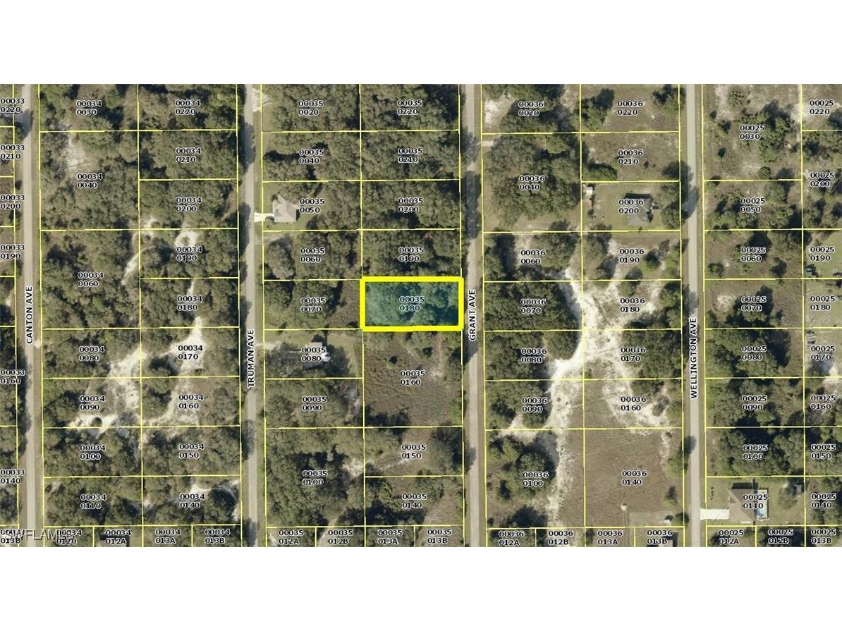 1811 Grant Avenue Lehigh Acres FL 33972 225052909 image2