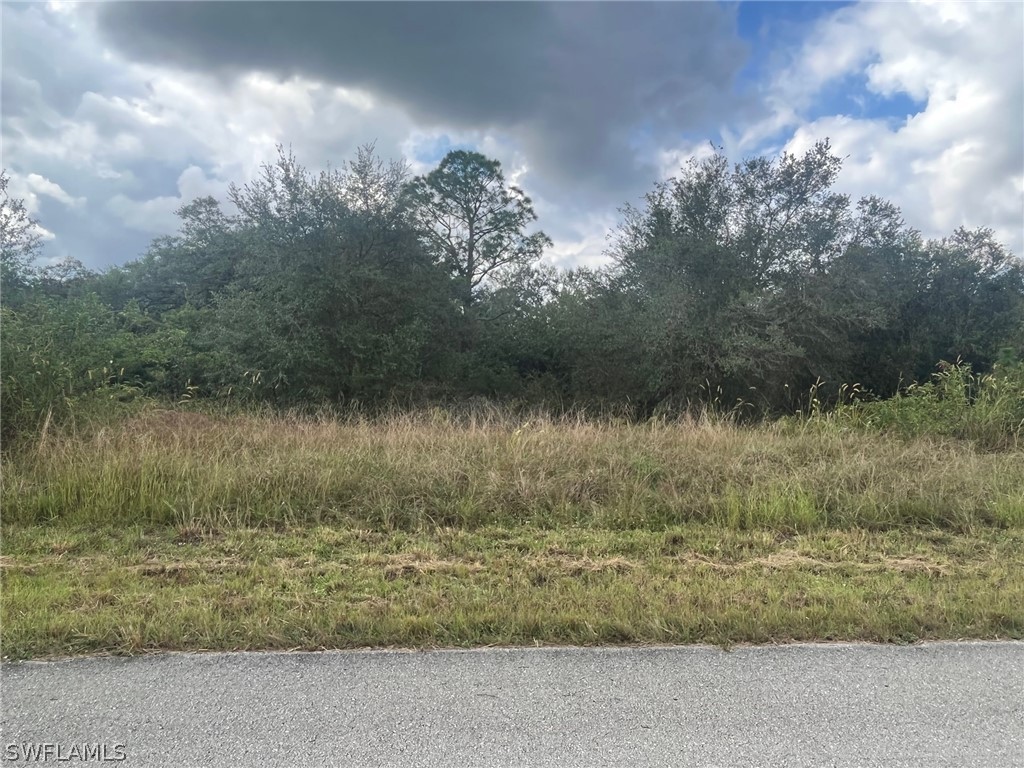 1813 Canton Avenue Lehigh Acres FL 33972 222078681 image1