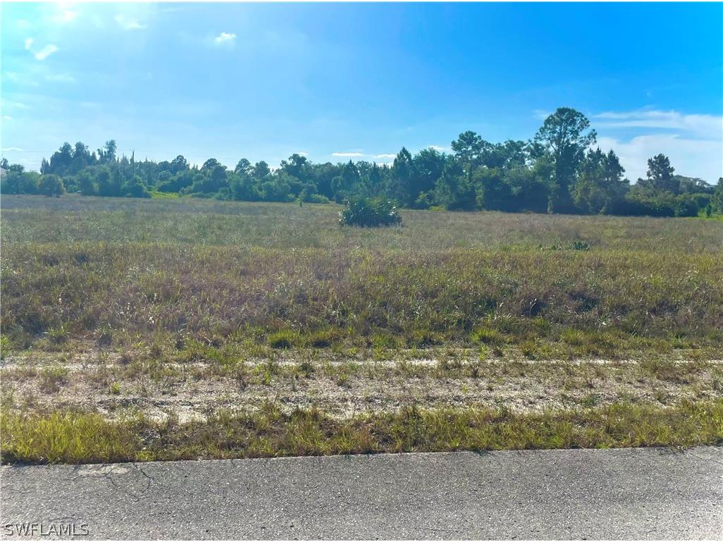 1813 Wells Avenue Lehigh Acres FL 33972 224037721 image1