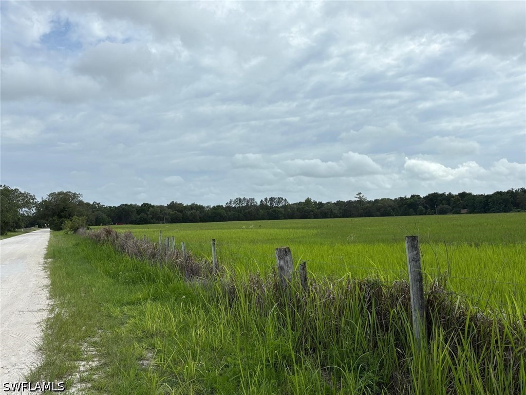 18139 Benes Roush Road Brooksville FL 39604 226019789 image5