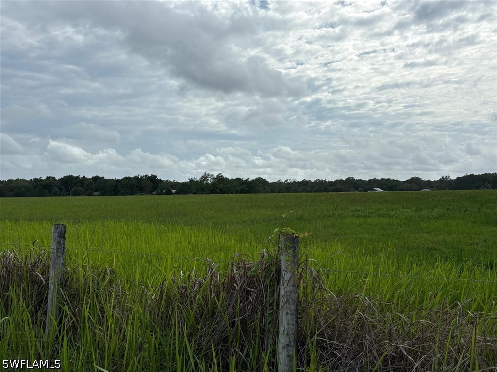 18139 Benes Roush Road Brooksville FL 39604 226019789 image6