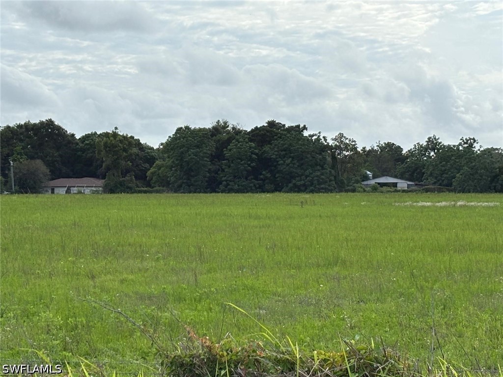 18139 Benes Roush Road Brooksville FL 39604 226019789 image7