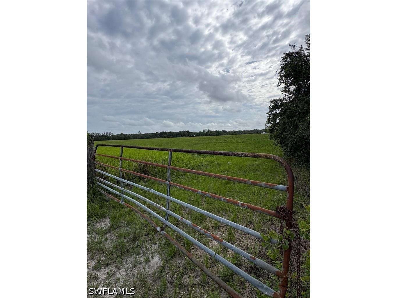 18139 Benes Roush Road Brooksville FL 39604 226019789 image8