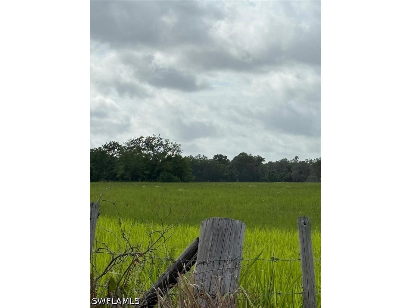 18139 Benes Roush Road Brooksville FL 39604 226019789 image9