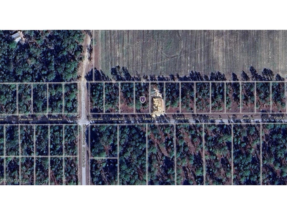 1814-024-004 NW Falcon Avenue Dunnellon FL 34431 224081748 image1