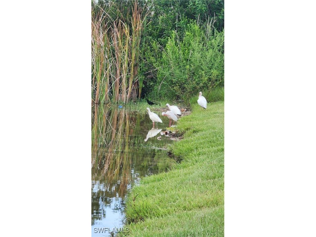 1818 NE 1st Place Cape Coral FL 33909 225058677 image11