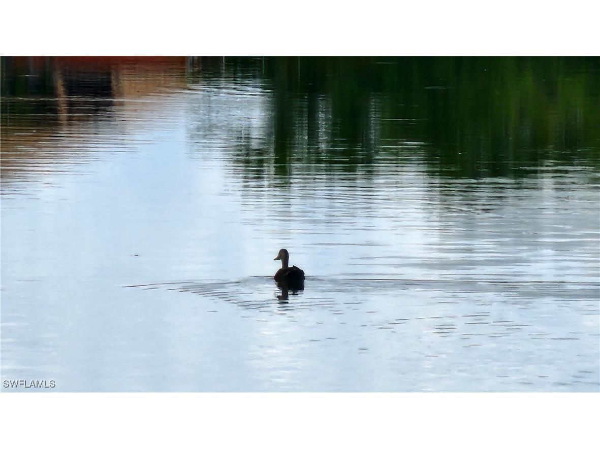 1818 NE 1st Place Cape Coral FL 33909 225058677 image8