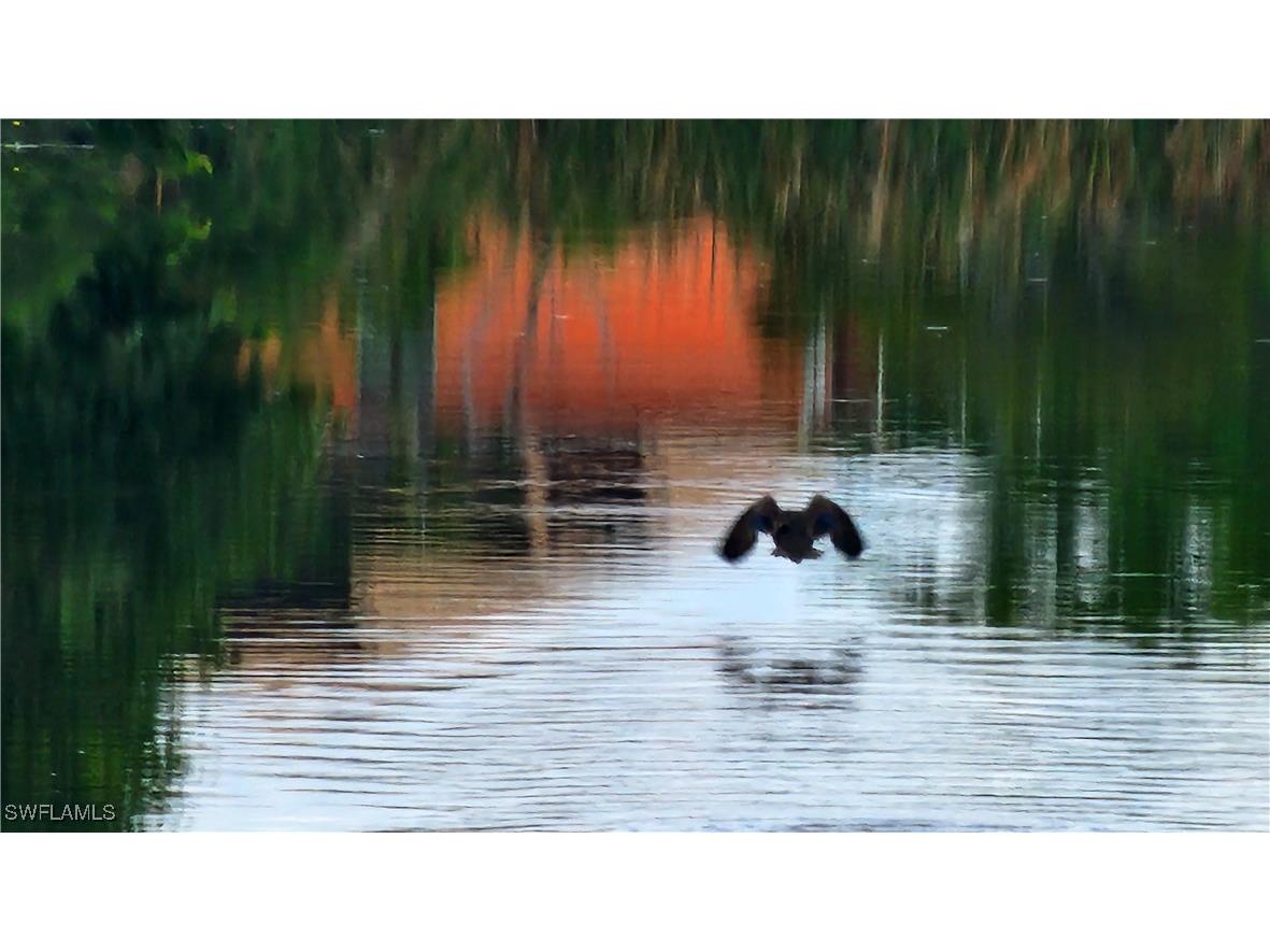 1818 NE 1st Place Cape Coral FL 33909 225058677 image9