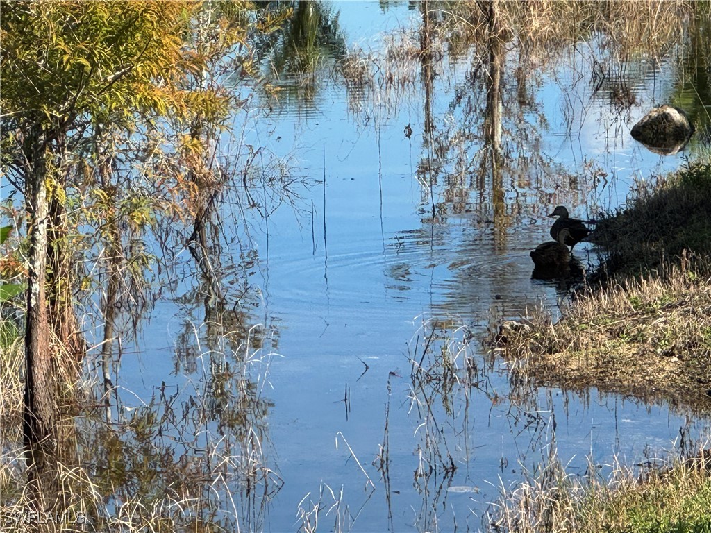 1819 Mustique Street Naples FL 34120 225079493 image34