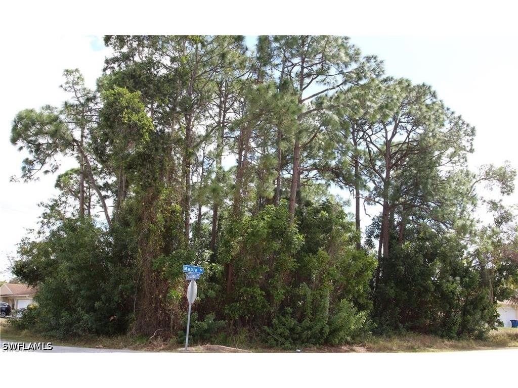 18205 Maple Road Fort Myers FL 33967 226016383 image5