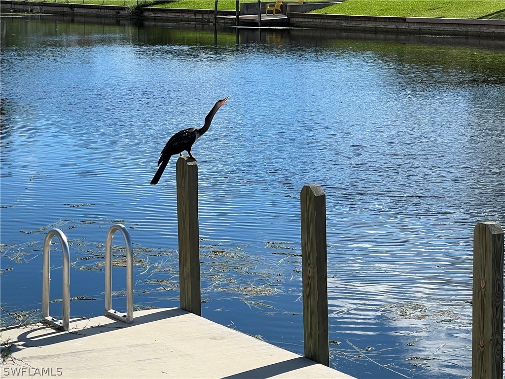 1822 SE 6th Avenue Cape Coral FL 33990 222077853 image1