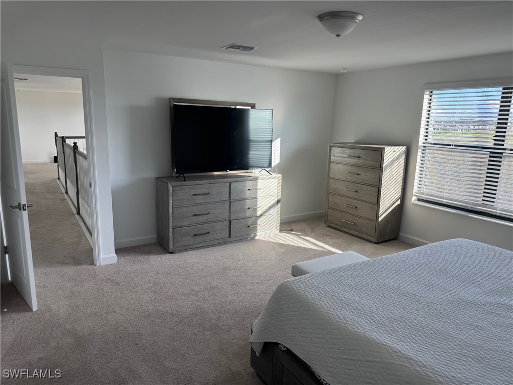 18227 Ridgeline Drive S Estero FL 33928 225076567 image21