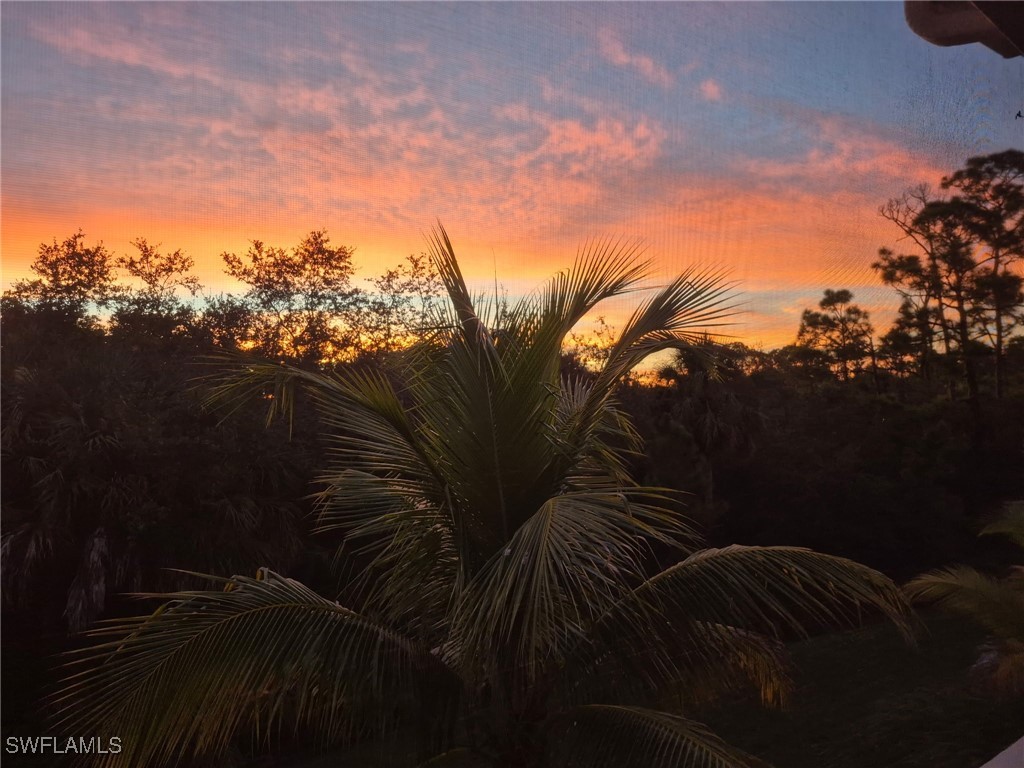 18239 Creekside Preserve Loop #202 Fort Myers FL 33908 225070119 image12