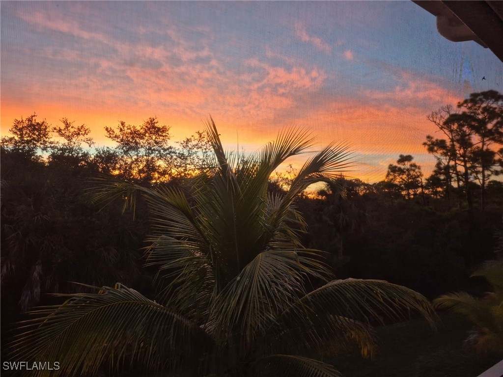 18239 Creekside Preserve Loop #202 Fort Myers FL 33908 225070119 image39