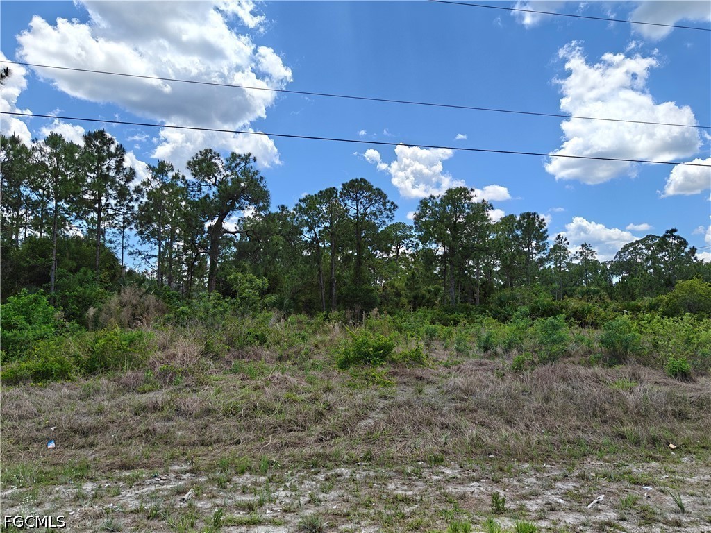 1824 Marlboro Lane Lehigh Acres FL 33972 2026019077 image2