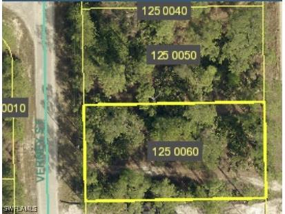 1824 Verney Street Lehigh Acres FL 33972 225014388 image1