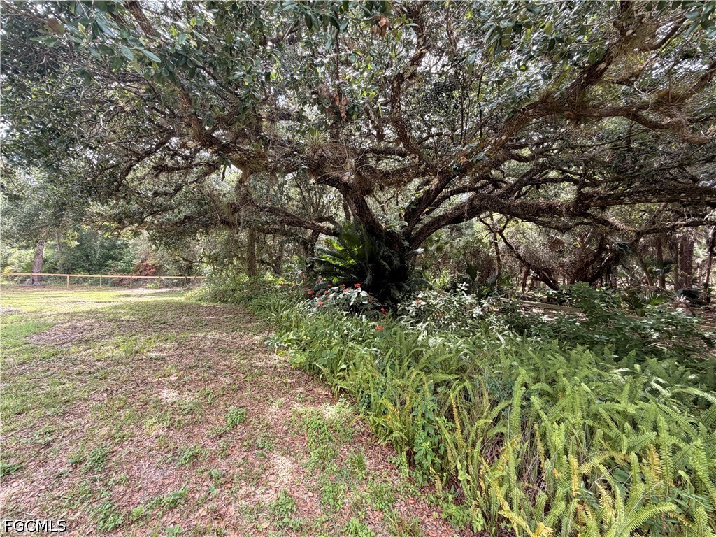 18251 Persimmon Ridge Road Alva FL 33920 2026024372 image1