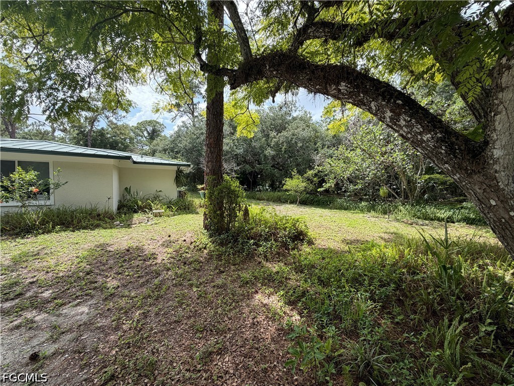 18251 Persimmon Ridge Road Alva FL 33920 2026024372 image10