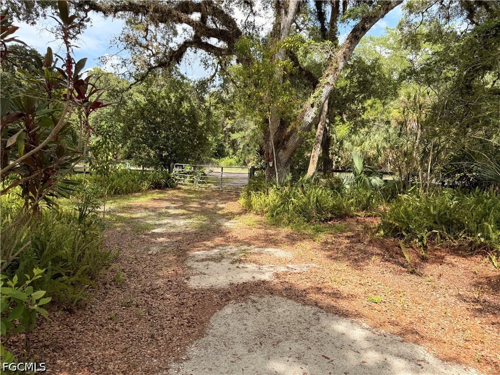 18251 Persimmon Ridge Road Alva FL 33920 2026024372 image4