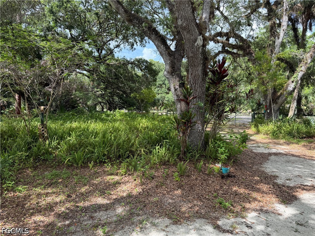 18251 Persimmon Ridge Road Alva FL 33920 2026024372 image8