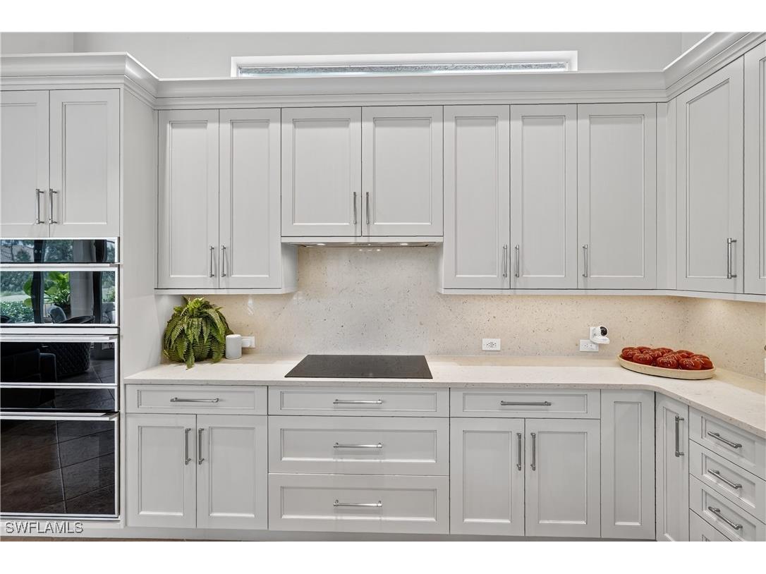 18260 Creekside View Drive Fort Myers FL 33908 225070248 image20